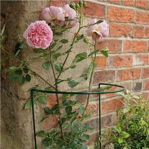 Border Support 15" x 20"